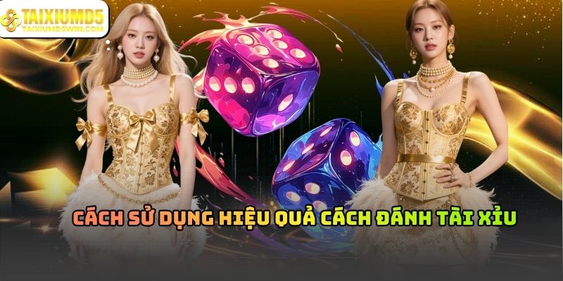 Cách Đánh Tài Xỉu Và Cách Hiểu Đúng Khi Tham Gia
