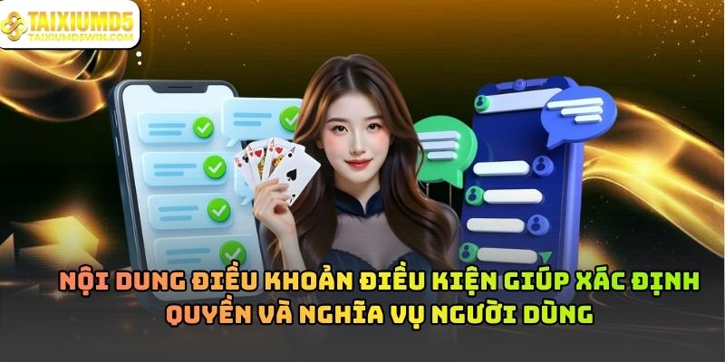 Điều Khoản Điều Kiện Và Vai Trò Trong Hoạt Động Trực Tuyến