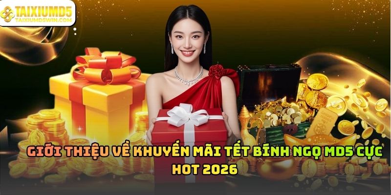 Khuyến mãi Tết Bính Ngọ MD5: Ưu đãi đầu năm 2026