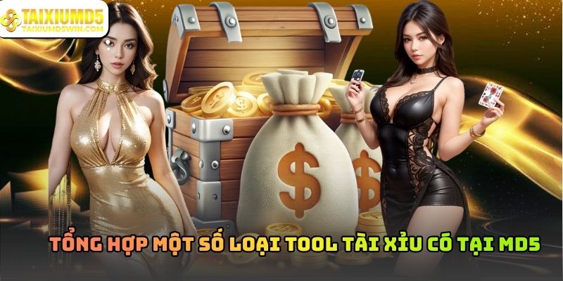 Tool Tài Xỉu Và Cách Hiểu Đúng Vai Trò Trong Quá Trình Theo Dõi