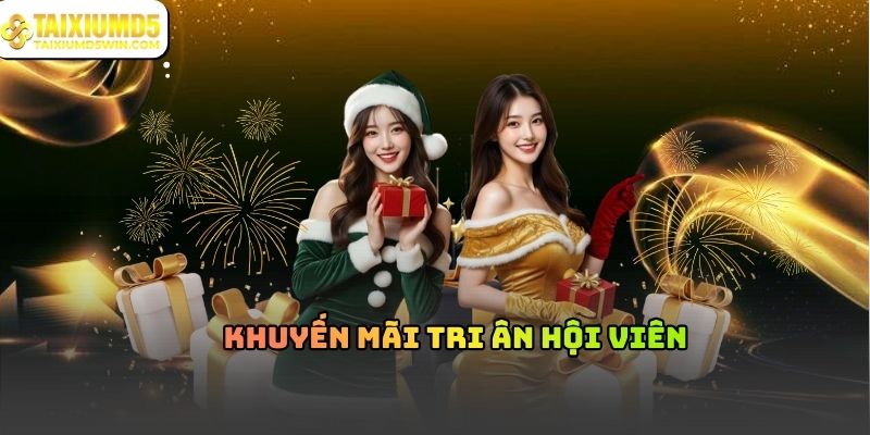 Khuyến mãi tri ân hội viên MD5: Quyền lợi người chơi lâu năm