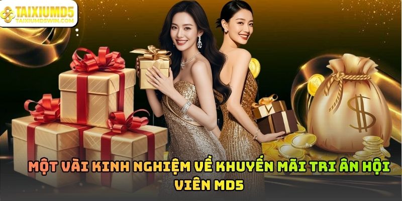 Khuyến mãi tri ân hội viên MD5: Quyền lợi người chơi lâu năm